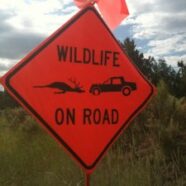 22-WildlifeSign