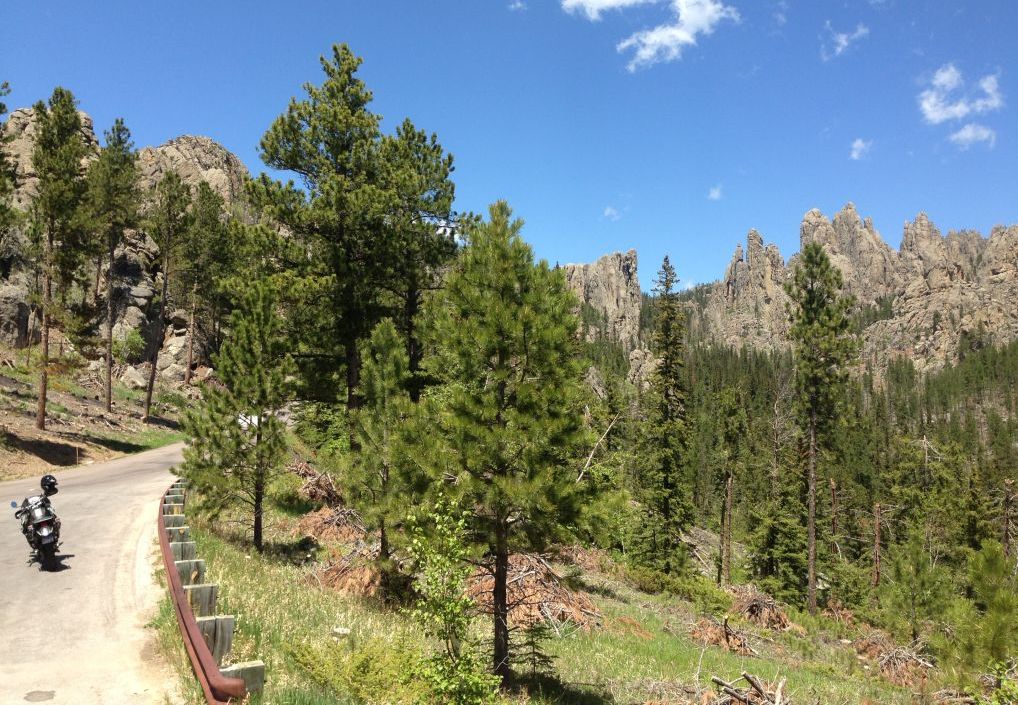 Women Who Ride: Riding on Needles Highway through Black Hills, South Dakota