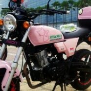 Coral_pinkbike