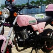 Coral_pinkbike