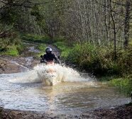 Ele_moto-orientating_2012