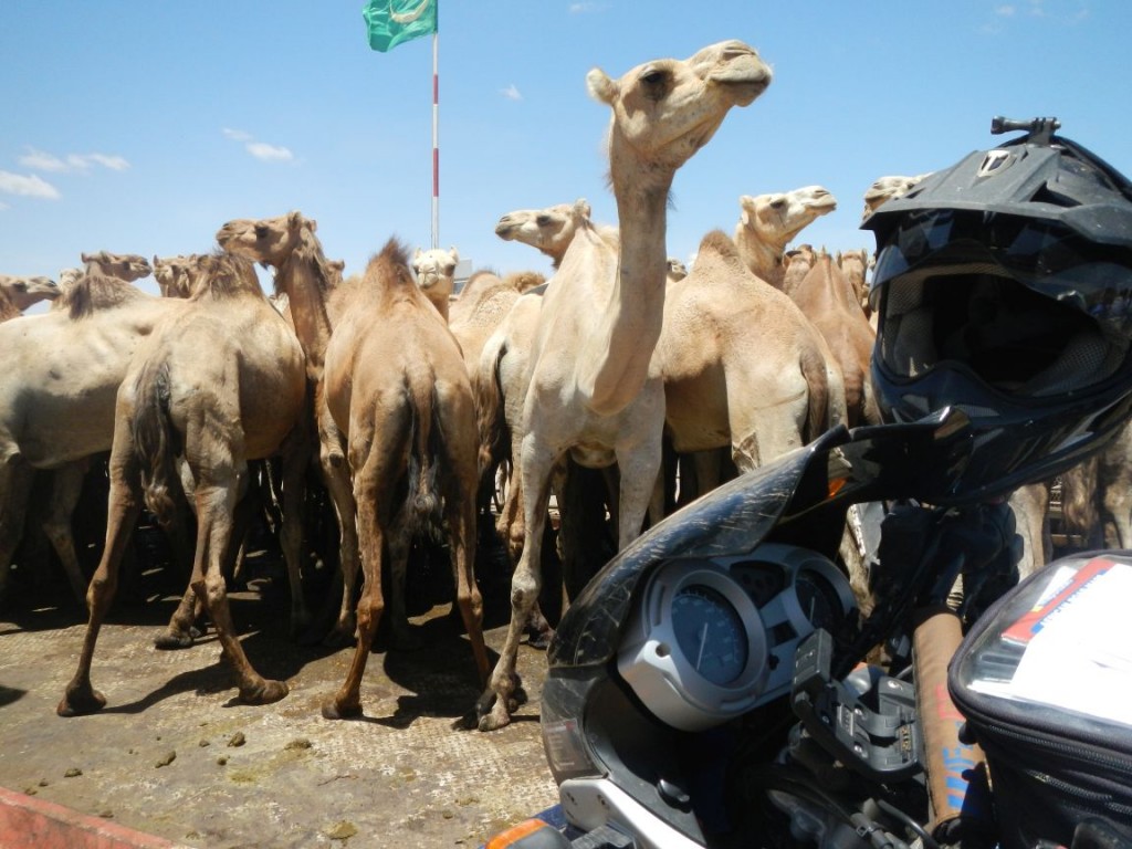Women Who Ride: Jolandie Rust crosses the Mauritania border