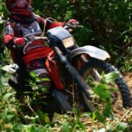 Juvena_Trailing in Malaysia 2