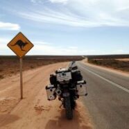 Kinga_australia 25 WA