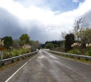 NZ4