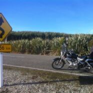 SarahHart_Terrain – twisties forever
