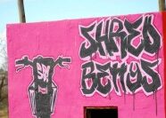 ShredBettys_LadiesJuniorsDay7