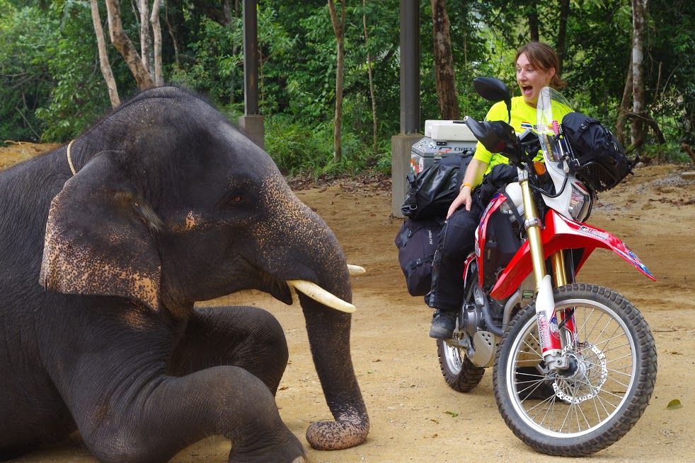 Women Who Ride: Steph Jeavons with a rescued elephant in Malaysia