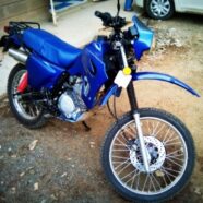 Tayiani_offroad