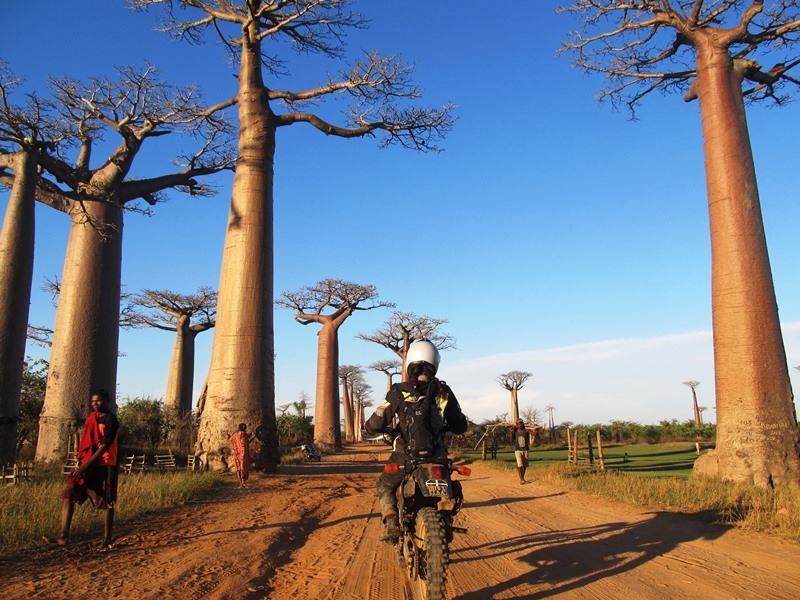 Women Who Ride: Motorcycling Legend Tiffany Coates rides past baobab trees